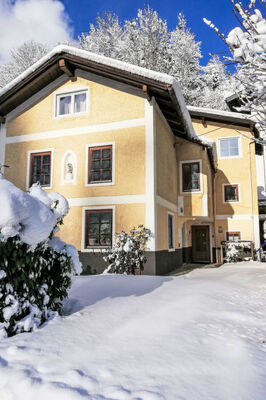 Dr.Steiner - Photo 27