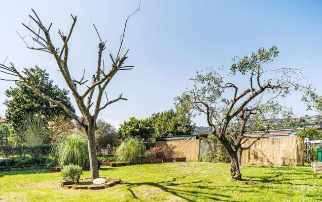 Villa Pardini - Photo 44