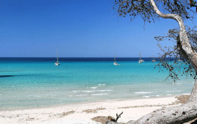 T3 Costa D'Oru - Photo 19