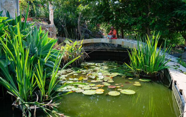 Campestra - Photo 23