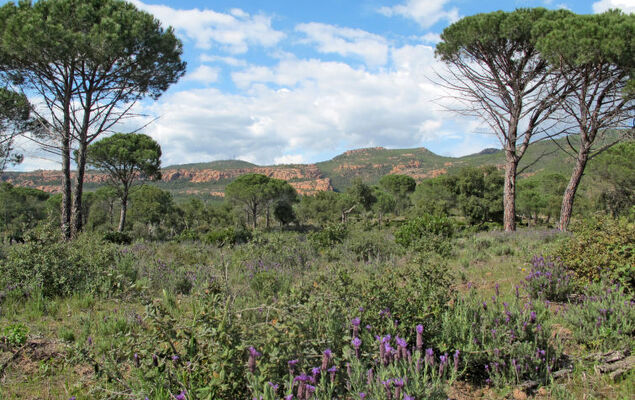 Les Domaines de St. Endréol - Photo 26
