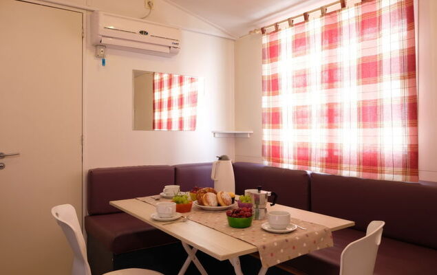 Happy Standard - Photo 6