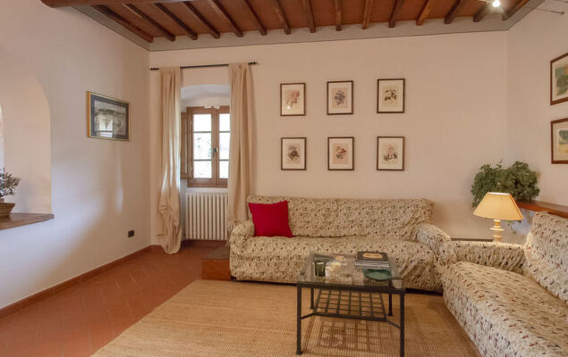 Corbezzolo - Photo 11