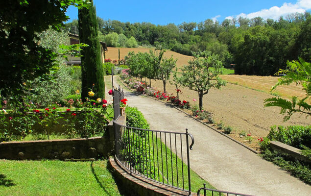 Corbezzolo - Photo 32