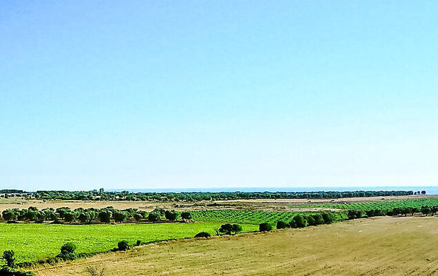 Tenuta Nucci - Photo 25