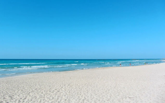 Tenuta Nucci - Photo 27