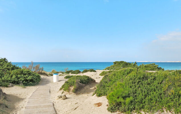 Tenuta Nucci - Photo 29