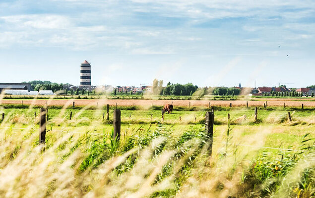 Vosseslag I sunny - Photo 16